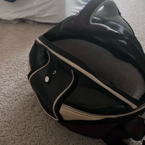 For kittens - Picture 3 of 3